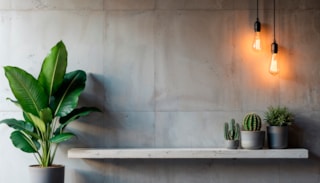 moderne-interieur-met-planten-planken-en-warme-verlichting
